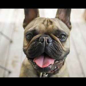 Meet your Posher, Angie